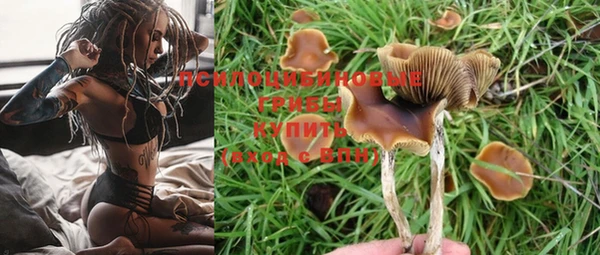 не бодяженный Сатка