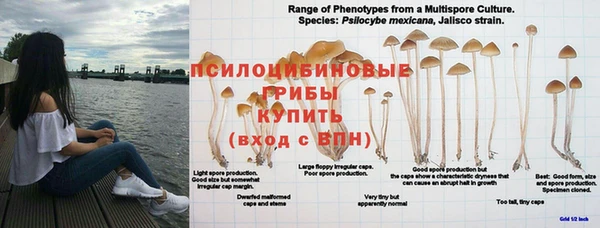 кокаин перу Абаза