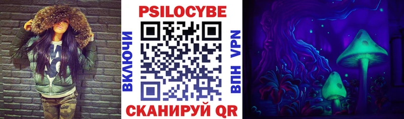 kraken зеркало мориарти формула Псилоцибиновые грибы Psilocybe Ефремов